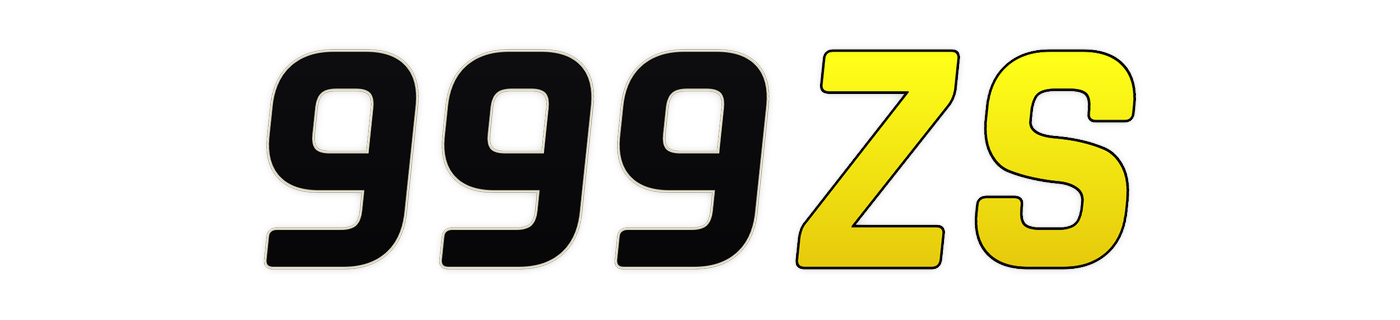999zs Logo